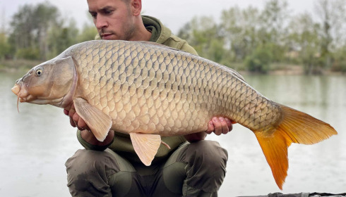 A carp from Grandes Cimes, Jan 2022