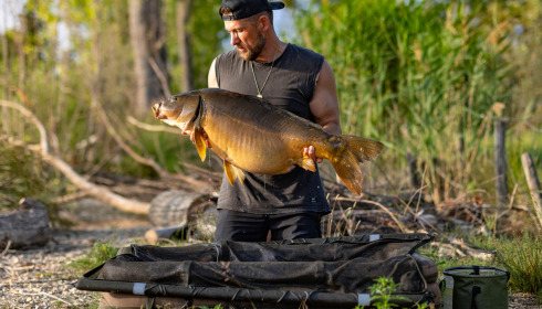 A carp from Grandes Cimes, Jun 2025