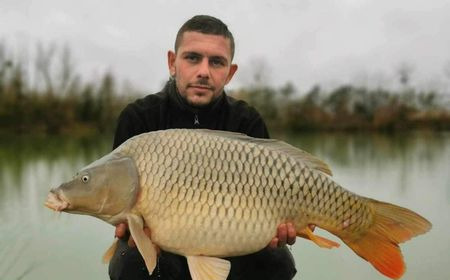 A carp from Grandes Cimes, Jan 2024