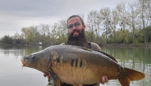 A carp from Grandes Cimes, Jan 2022
