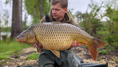 A carp from Grandes Cimes, Jan 2023