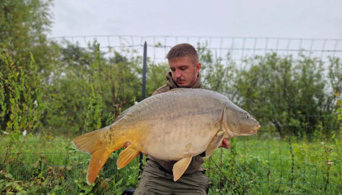 A carp from Grandes Cimes, Sep 2024