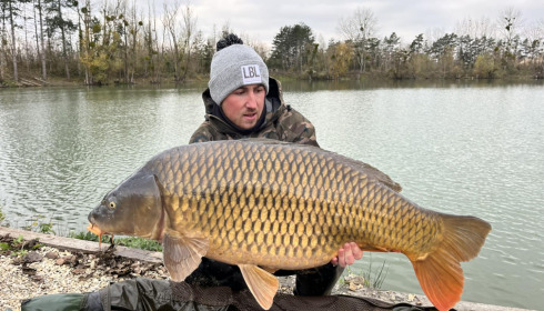 A carp from Grandes Cimes, New Stock, Nov 2023