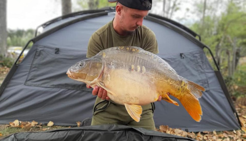 A carp from Grandes Cimes, Jan 2022