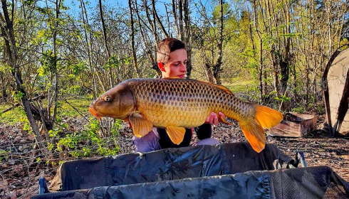 A carp from Grandes Cimes, Jan 2022