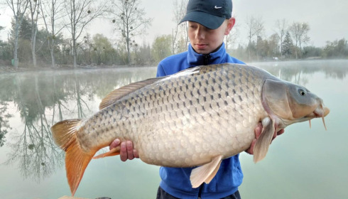 A carp from Grandes Cimes, Jan 2023