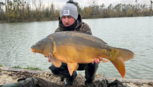 A carp from Grandes Cimes, New Stock, Nov 2023