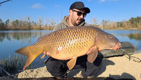 A carp from Grandes Cimes, Feb 2025