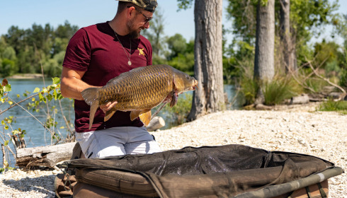 A carp from Grandes Cimes, Jun 2025