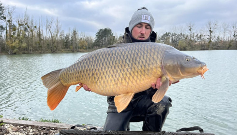 A carp from Grandes Cimes, New Stock, Nov 2023
