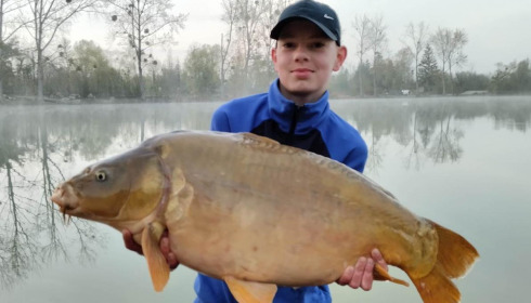 A carp from Grandes Cimes, Jan 2023
