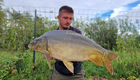 A carp from Grandes Cimes, Sep 2024