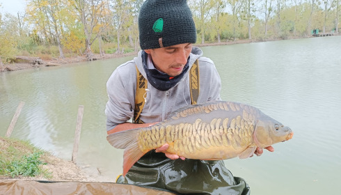 A carp from Grandes Cimes, New Stock, Jan 2022