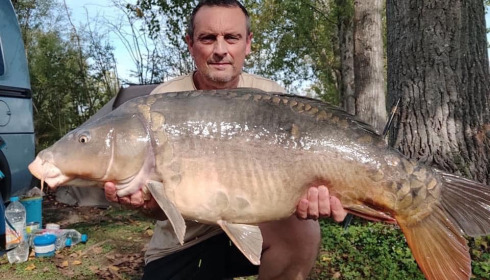 A carp from Grandes Cimes, Jan 2022