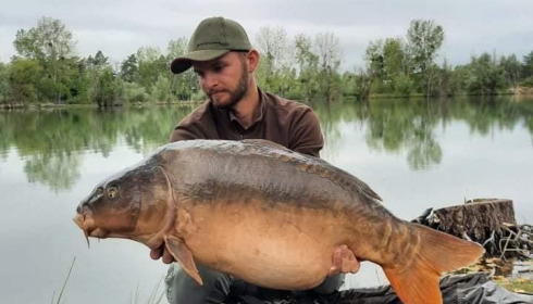 A carp from Grandes Cimes, Jan 2022