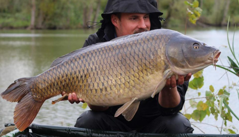 A carp from Grandes Cimes, Oct 2024