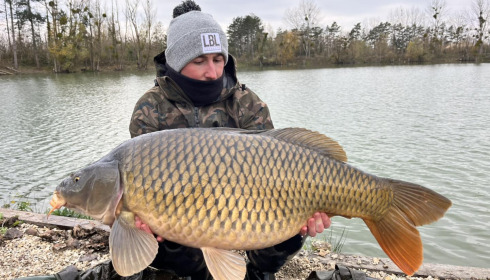 A carp from Grandes Cimes, New Stock, Nov 2023