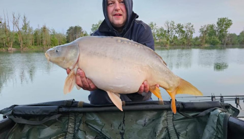 A carp from Grandes Cimes, Jan 2023