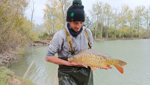 A carp from Grandes Cimes, New Stock, Jan 2022