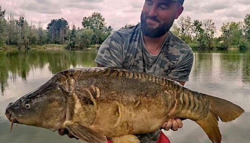 A carp from Grandes Cimes, Jan 2022