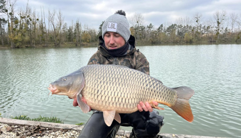 A carp from Grandes Cimes, New Stock, Nov 2023