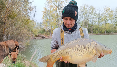 A carp from Grandes Cimes, New Stock, Jan 2022