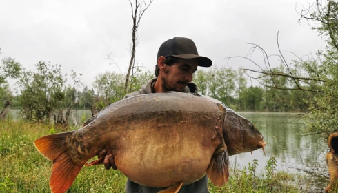 A carp from Grandes Cimes, Jan 2022