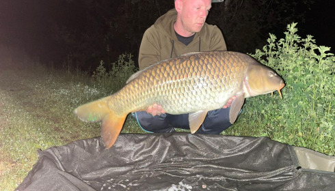A carp from Grandes Cimes, Jun 2024