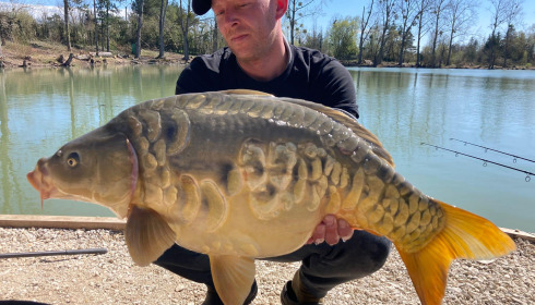 A carp from Grandes Cimes, Jan 2023