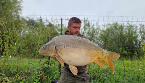 A carp from Grandes Cimes, Sep 2024