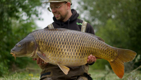 A carp from Grandes Cimes, Jul 2024