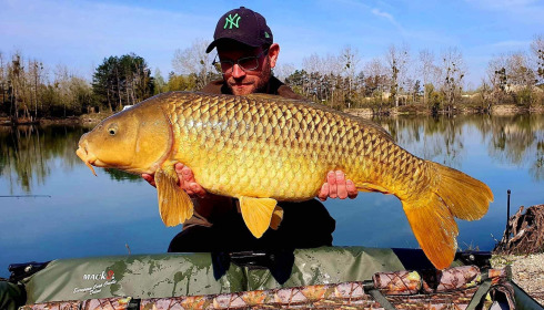 A carp from Grandes Cimes, Jan 2023