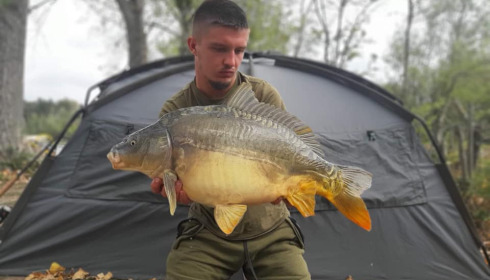 A carp from Grandes Cimes, Jan 2022