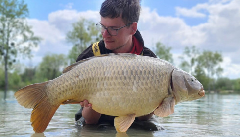 A carp from Grandes Cimes, Jan 2024