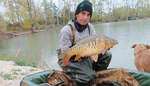 A carp from Grandes Cimes, New Stock, Jan 2022