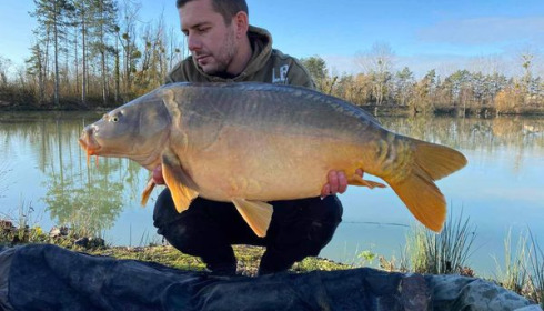 A carp from Grandes Cimes, Jan 2024