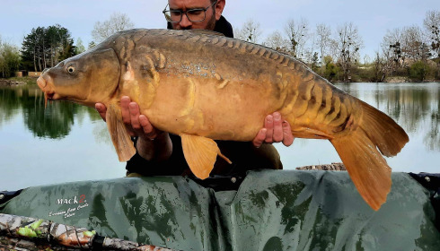A carp from Grandes Cimes, Jan 2023