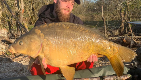 A carp from Grandes Cimes, Jan 2023