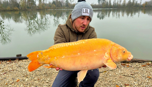 A carp from Grandes Cimes, New Stock, Nov 2023