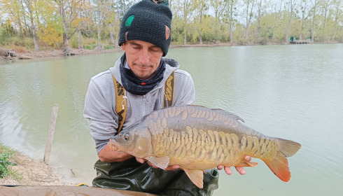 A carp from Grandes Cimes, New Stock, Jan 2022