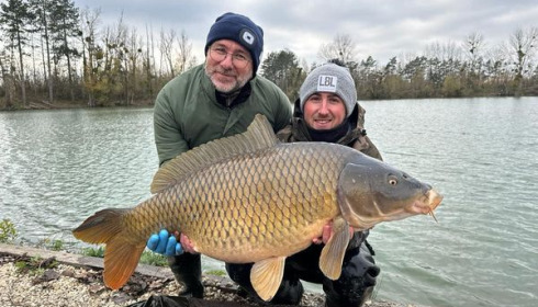 A carp from Grandes Cimes, New Stock, Nov 2023
