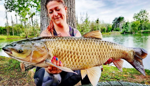 A carp from Grandes Cimes, Jan 2022