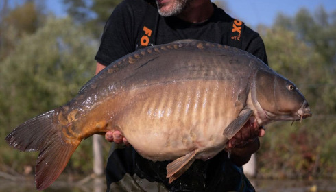 A carp from Grandes Cimes, Jul 2024
