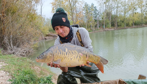 A carp from Grandes Cimes, New Stock, Jan 2022