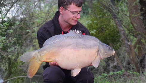 A carp from Grandes Cimes, Jan 2024