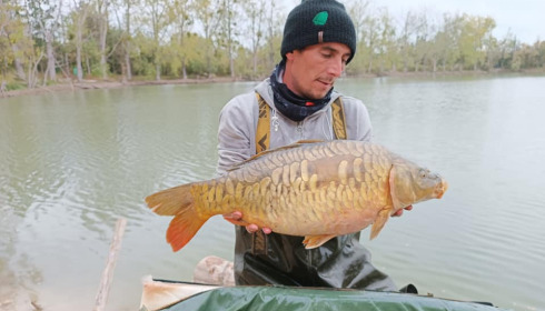 A carp from Grandes Cimes, New Stock, Jan 2022