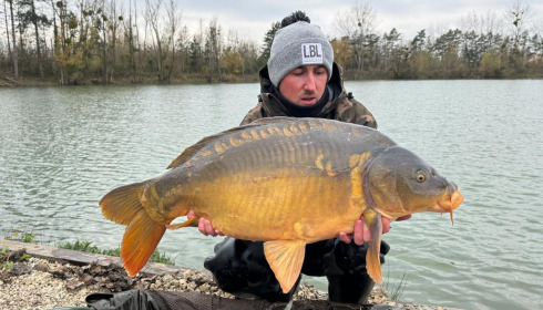 A carp from Grandes Cimes, New Stock, Nov 2023