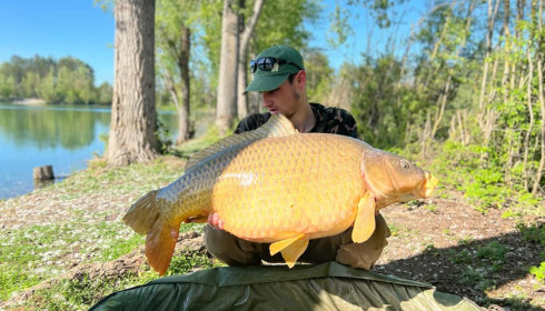 A carp from Grandes Cimes, Jan 2022
