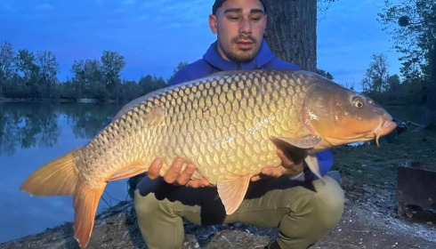 A carp from Grandes Cimes, Jan 2022