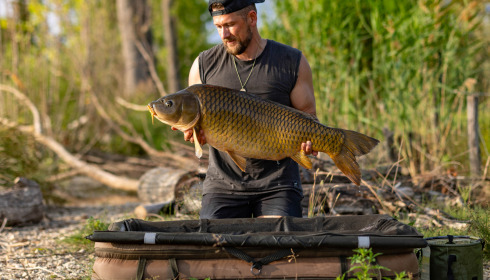 A carp from Grandes Cimes, Jun 2025